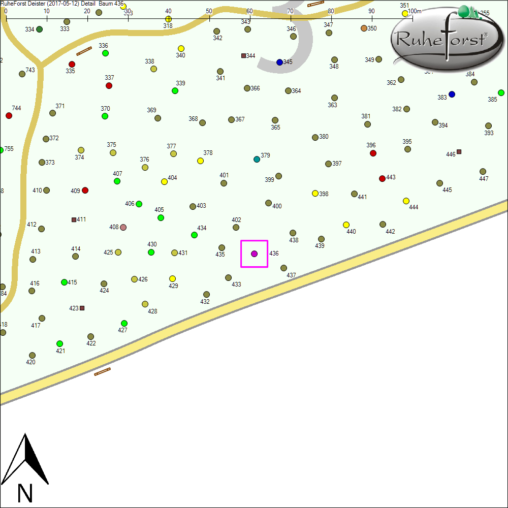 Detailkarte zu Baum 436