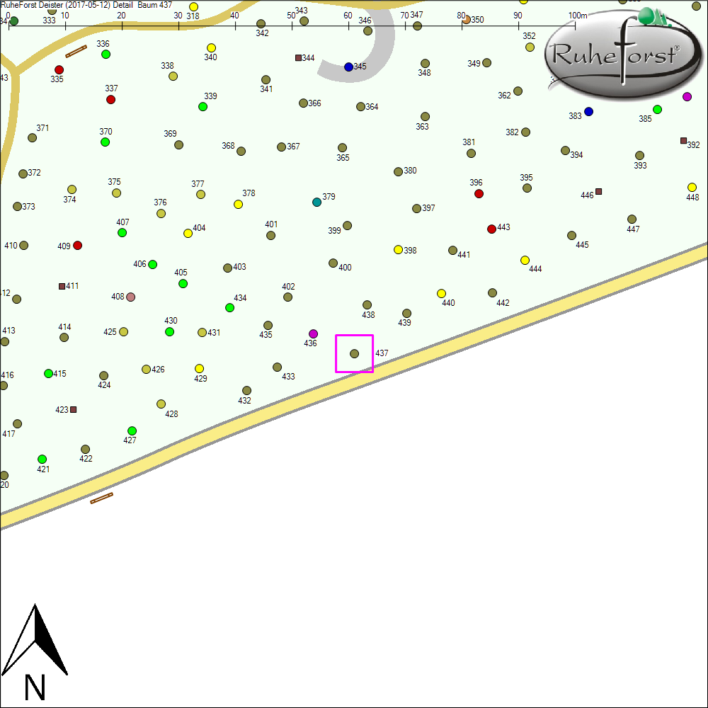 Detailkarte zu Baum 437