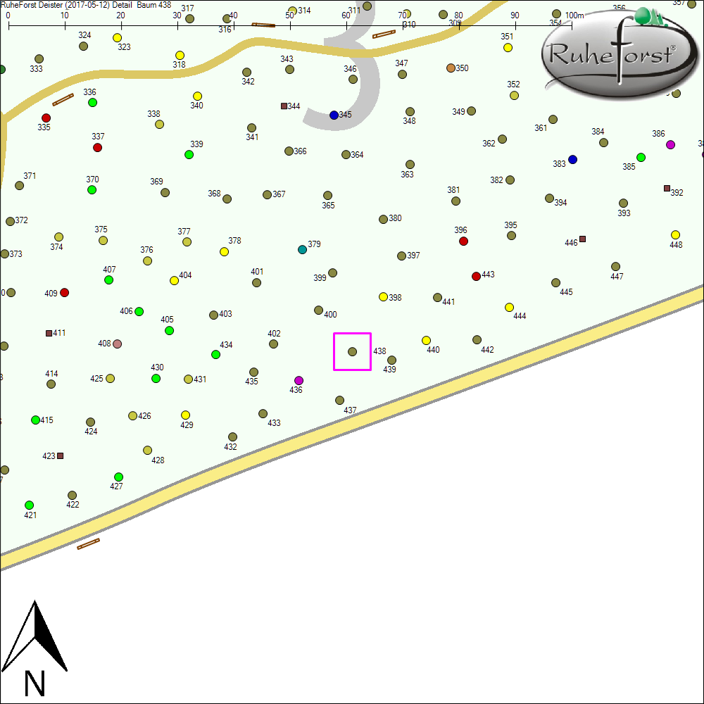 Detailkarte zu Baum 438