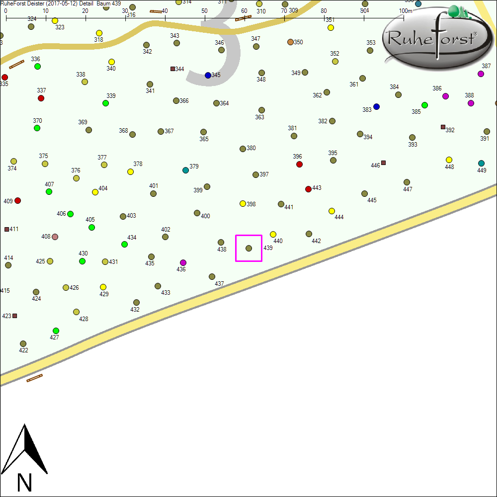 Detailkarte zu Baum 439