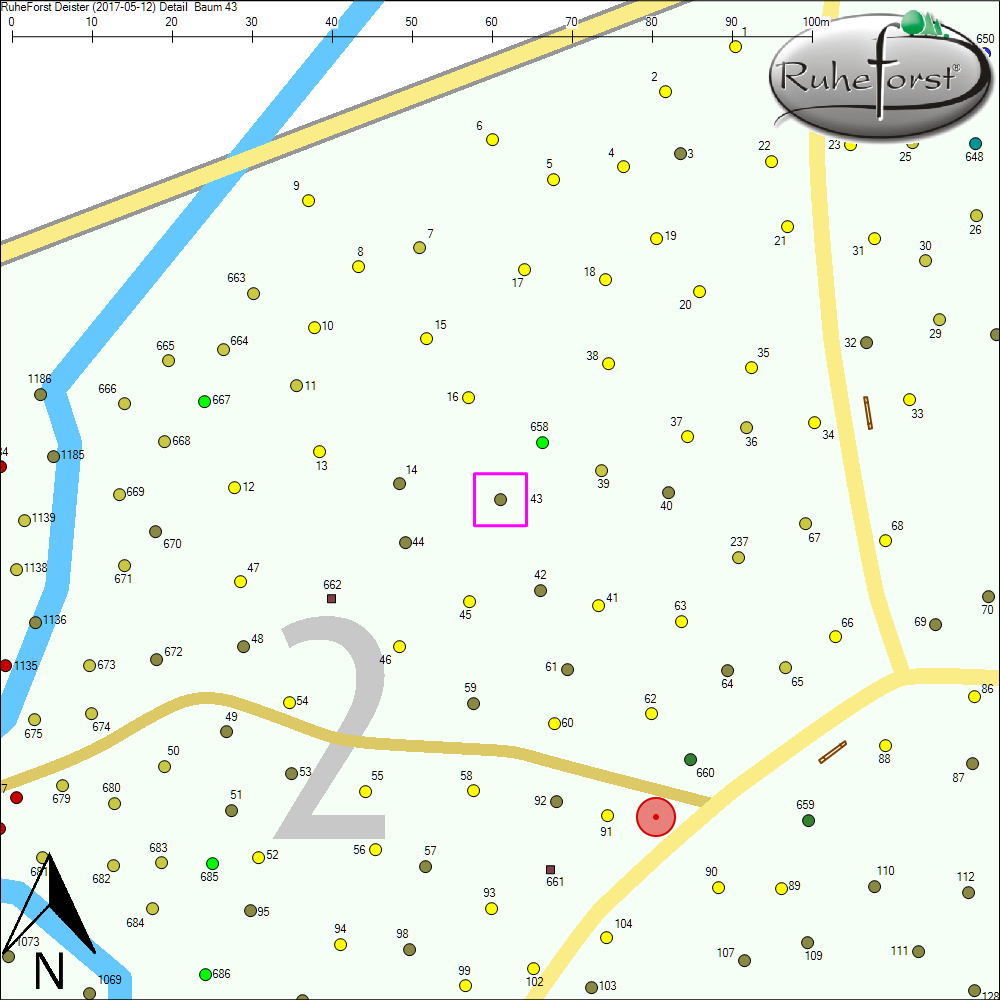 Detailkarte zu Baum 43