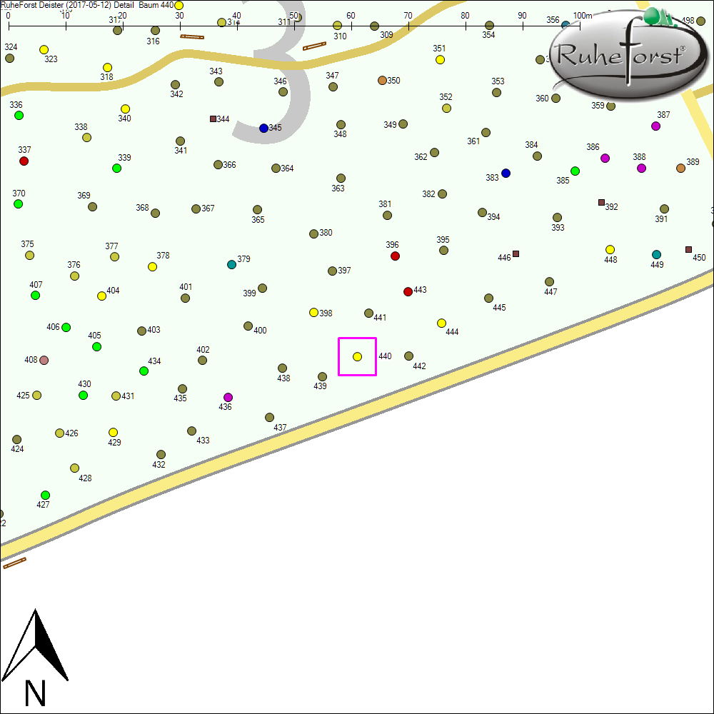 Detailkarte zu Baum 440