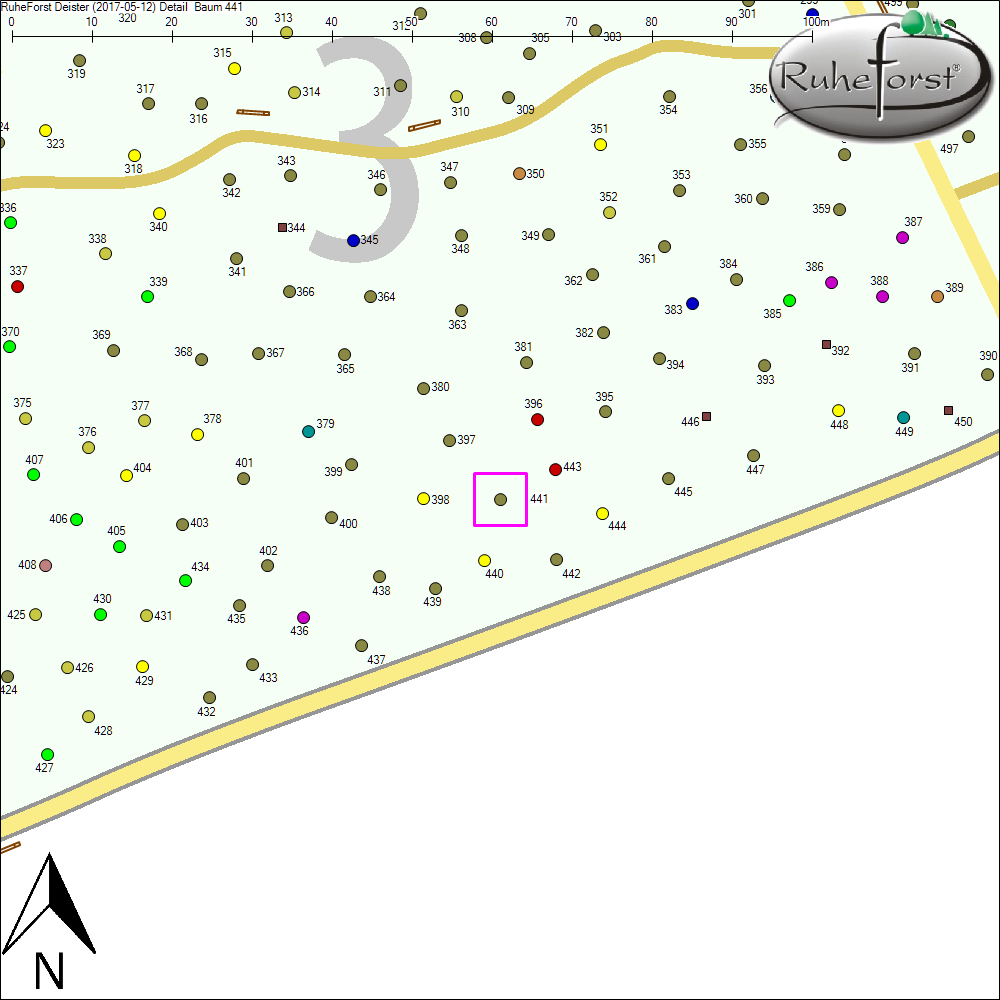 Detailkarte zu Baum 441