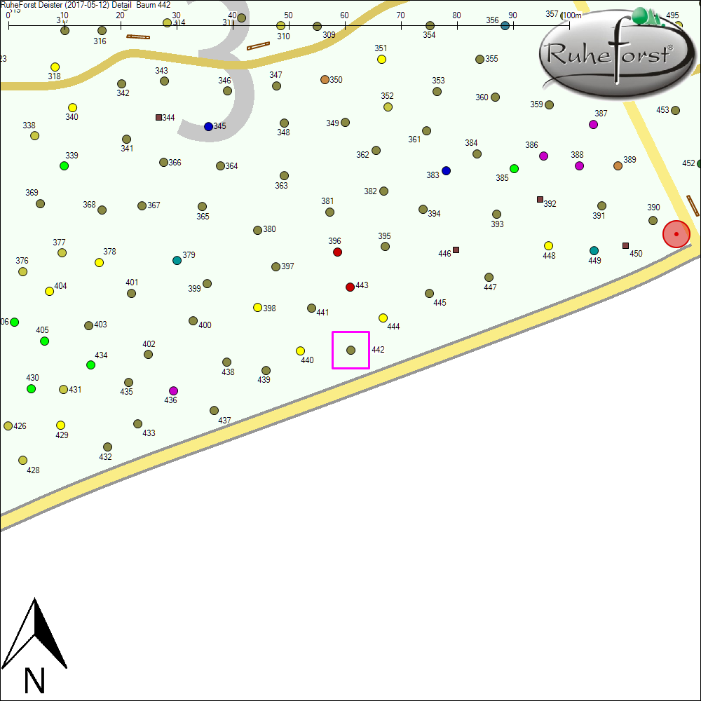 Detailkarte zu Baum 442