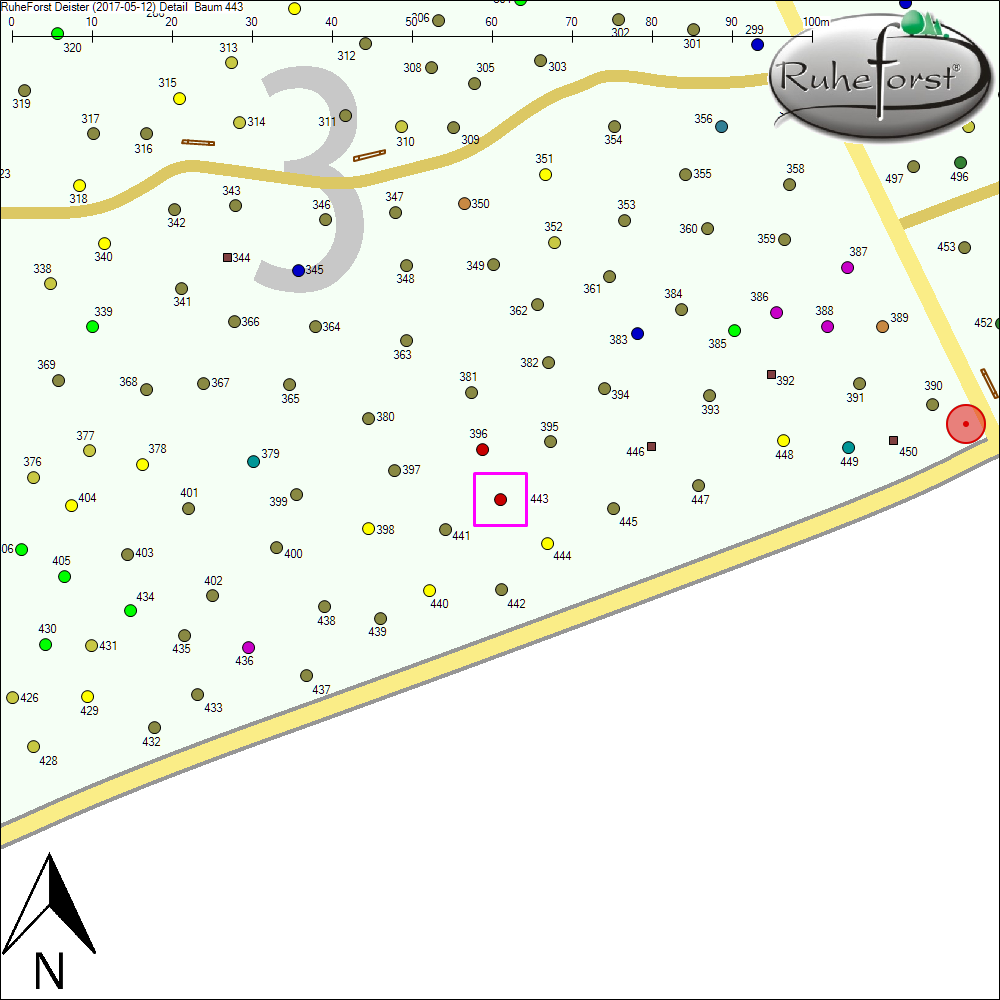 Detailkarte zu Baum 443
