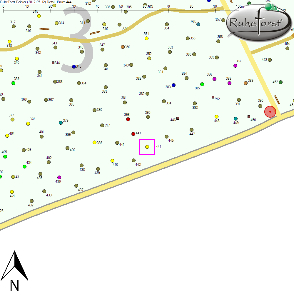 Detailkarte zu Baum 444