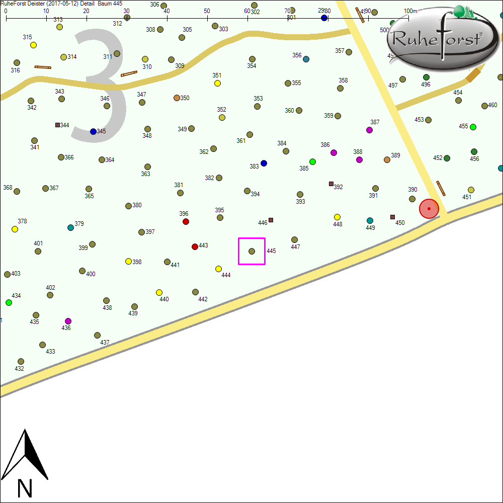 Detailkarte zu Baum 445