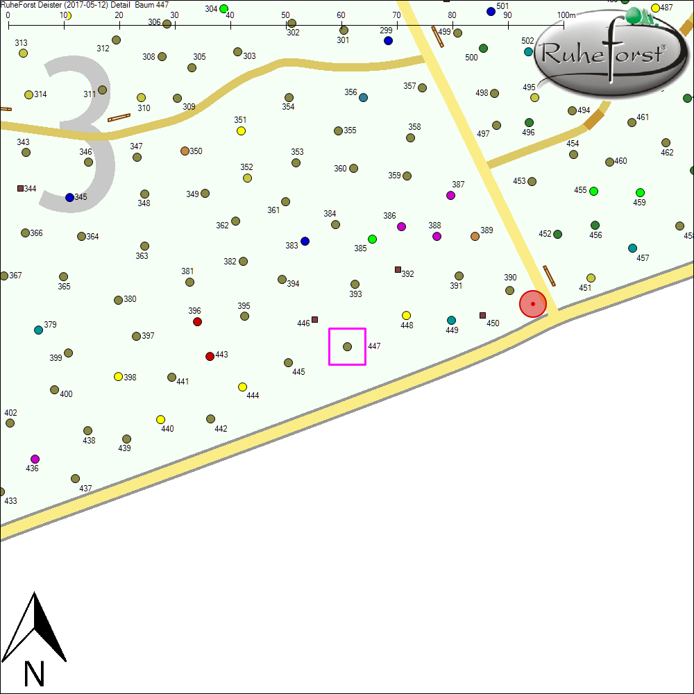Detailkarte zu Baum 447