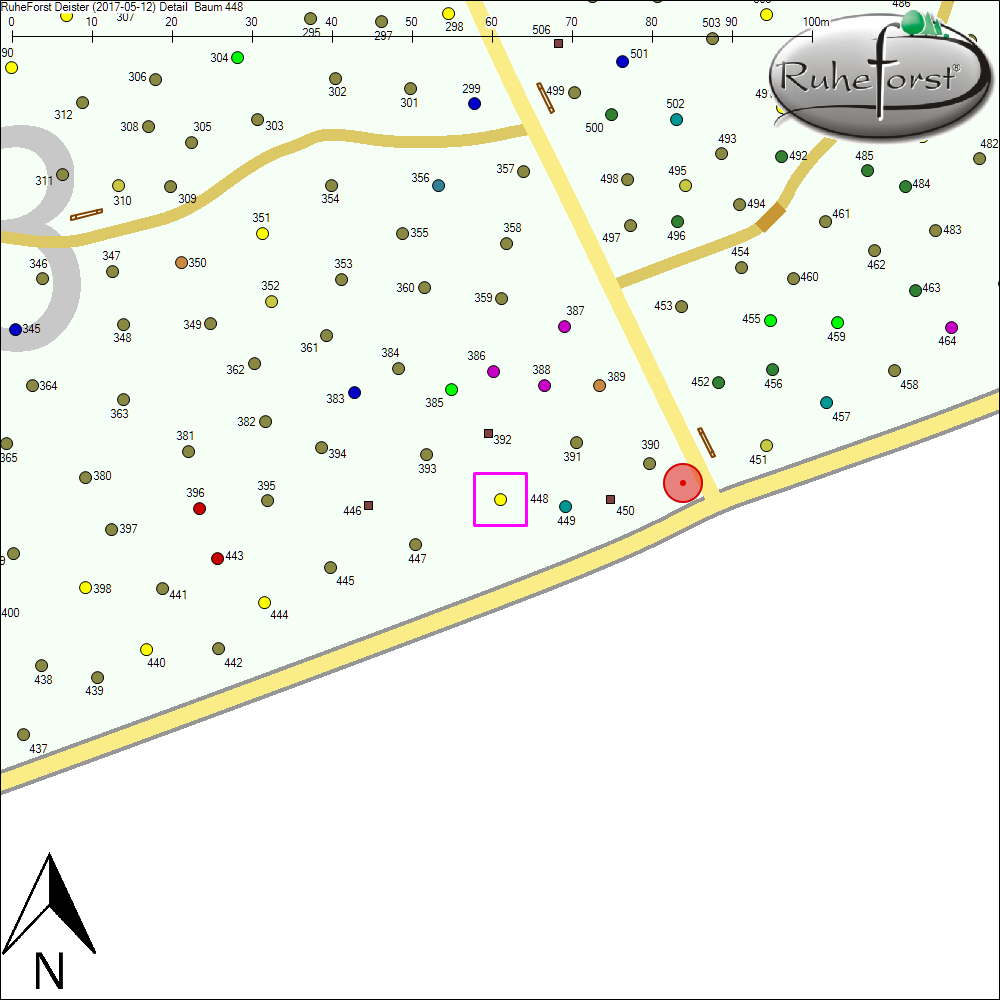 Detailkarte zu Baum 448