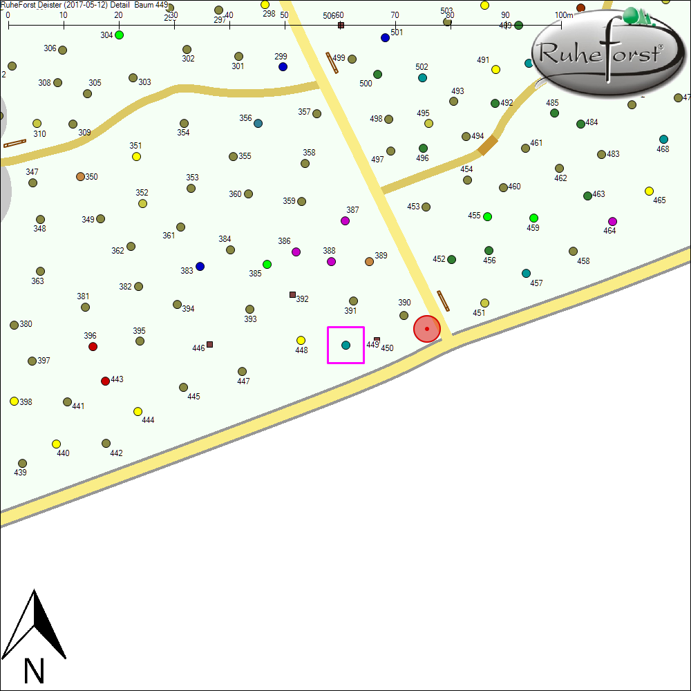 Detailkarte zu Baum 449