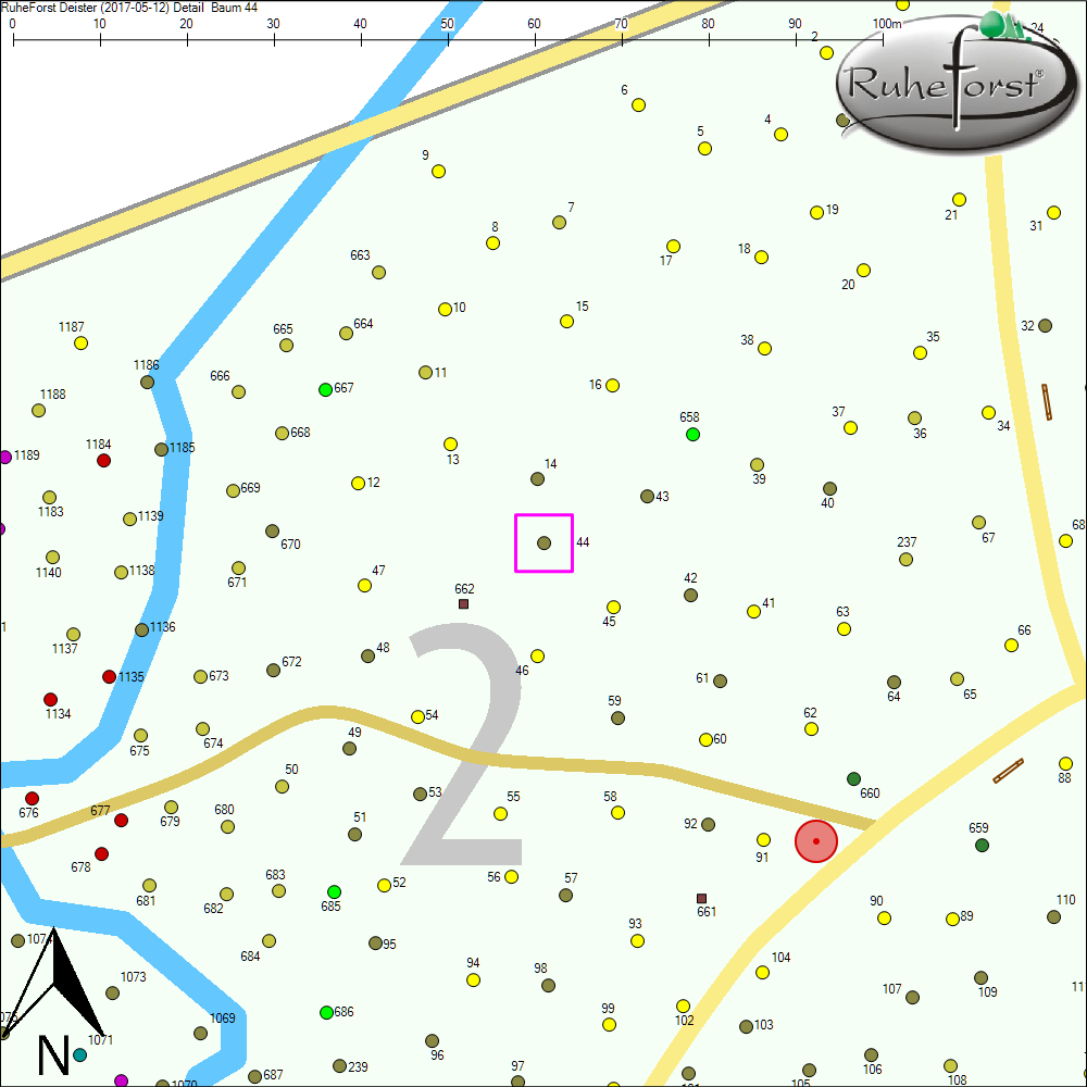 Detailkarte zu Baum 44