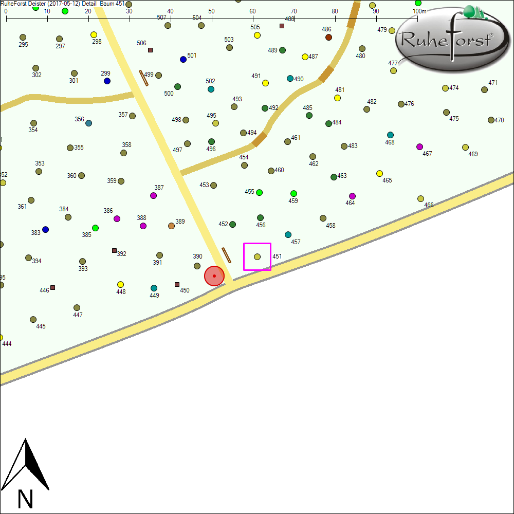 Detailkarte zu Baum 451