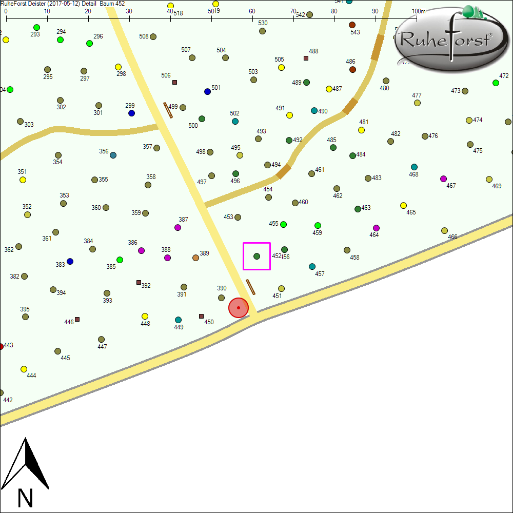 Detailkarte zu Baum 452