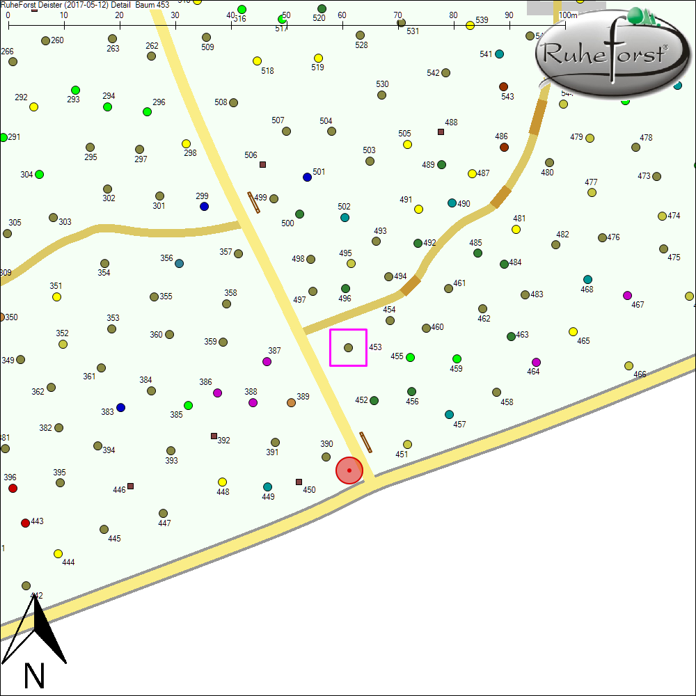 Detailkarte zu Baum 453