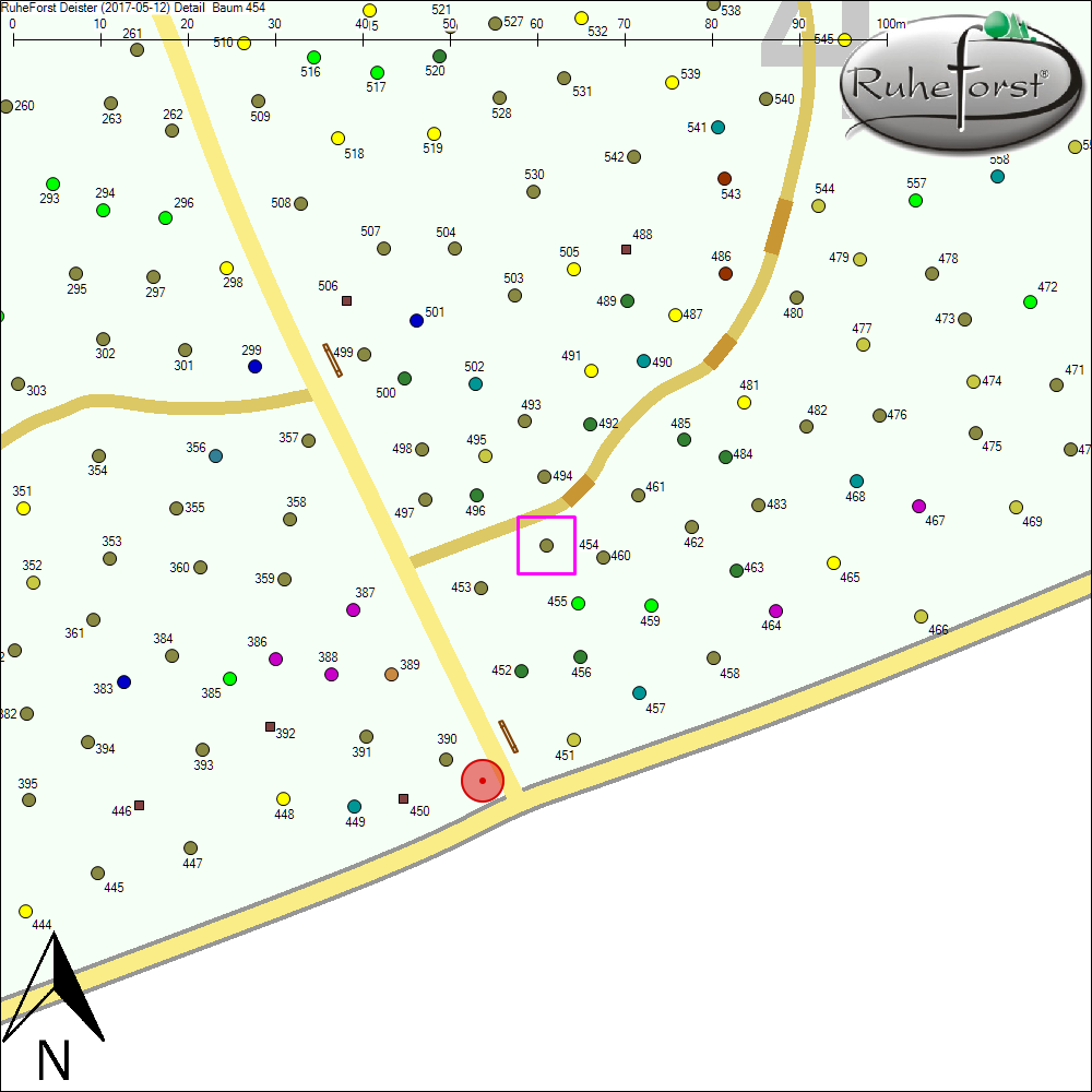 Detailkarte zu Baum 454