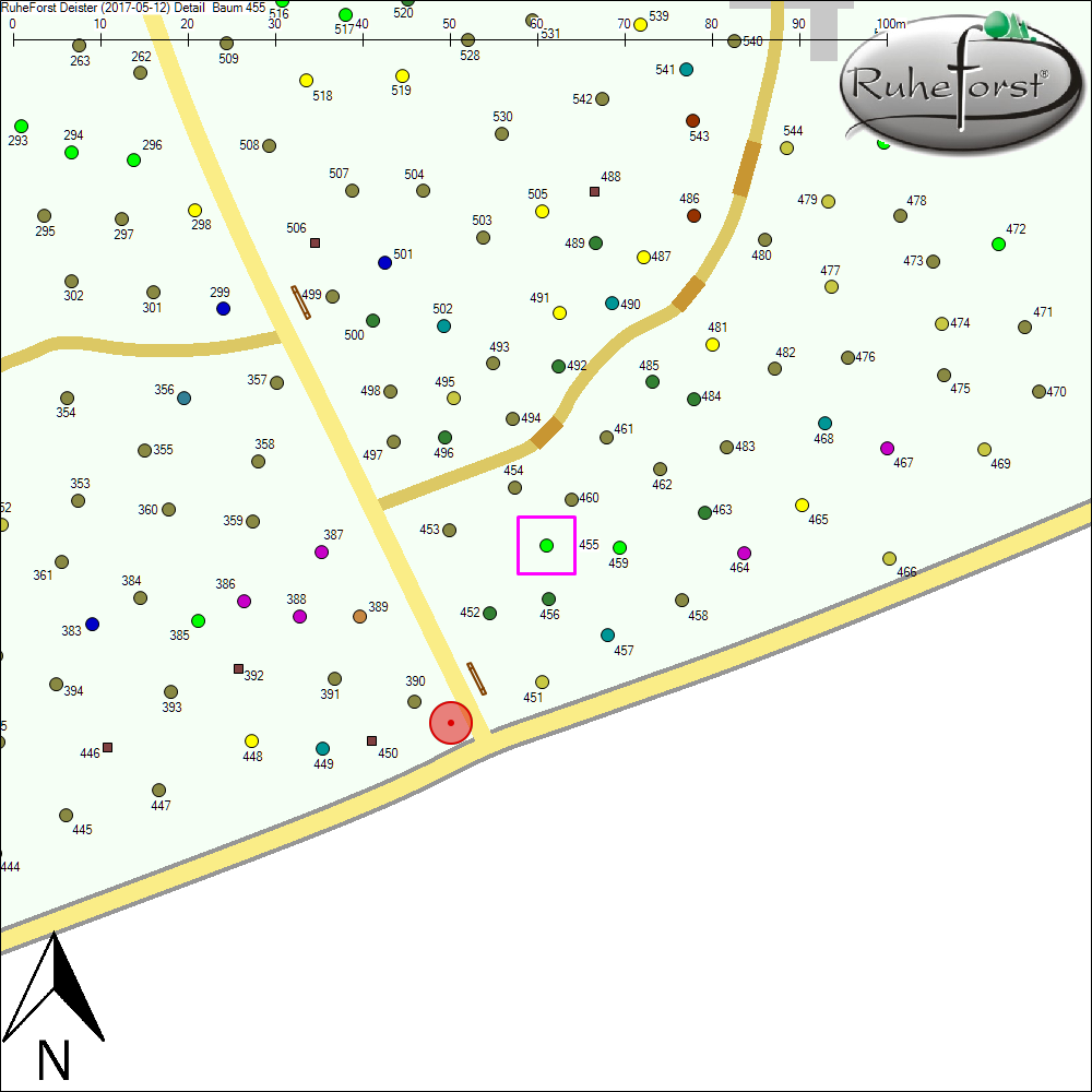 Detailkarte zu Baum 455