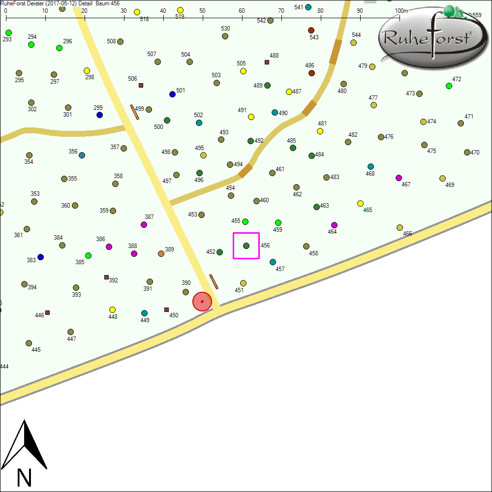 Detailkarte zu Baum 456