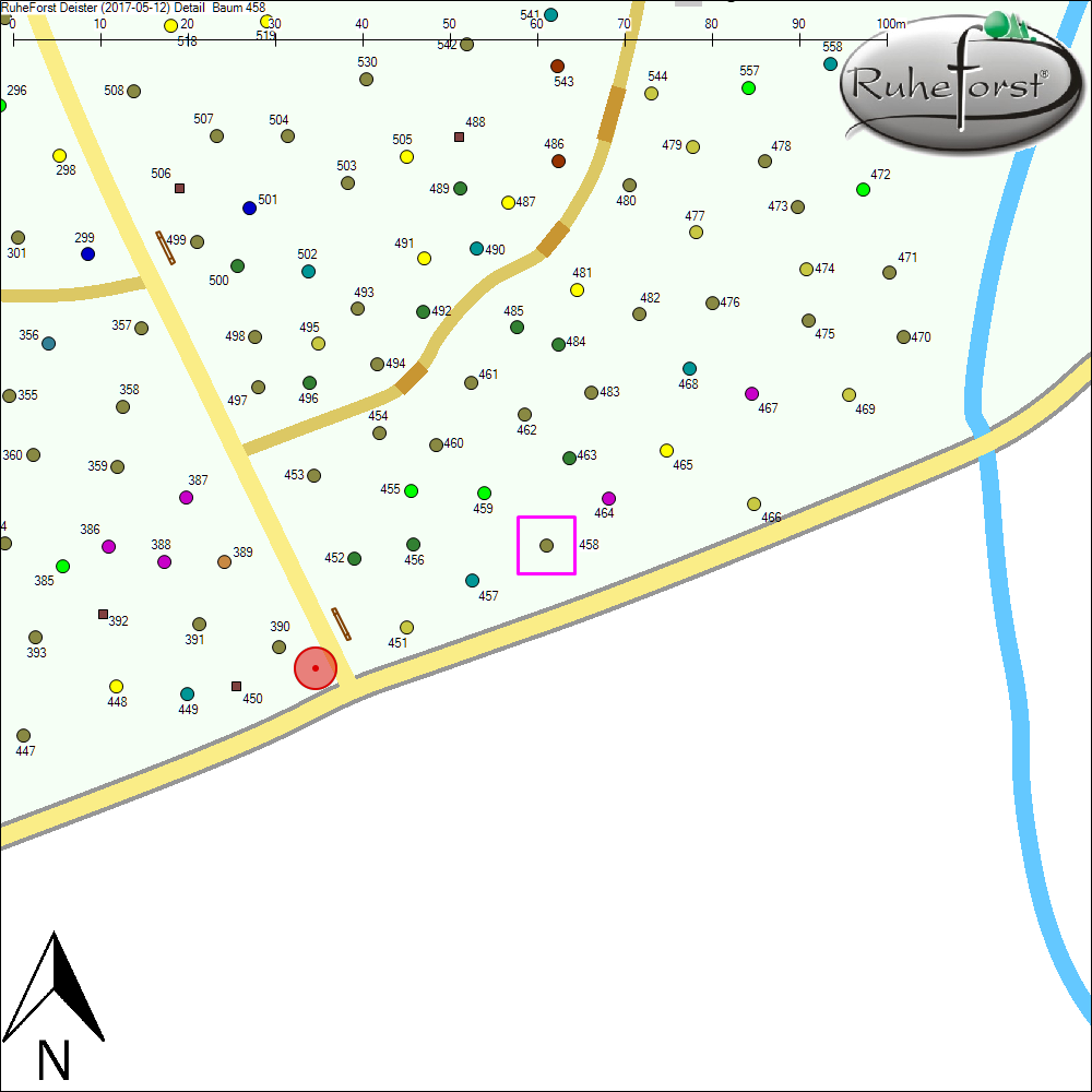 Detailkarte zu Baum 458