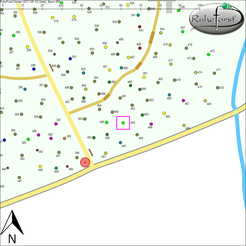 Detailkarte zu Baum 459