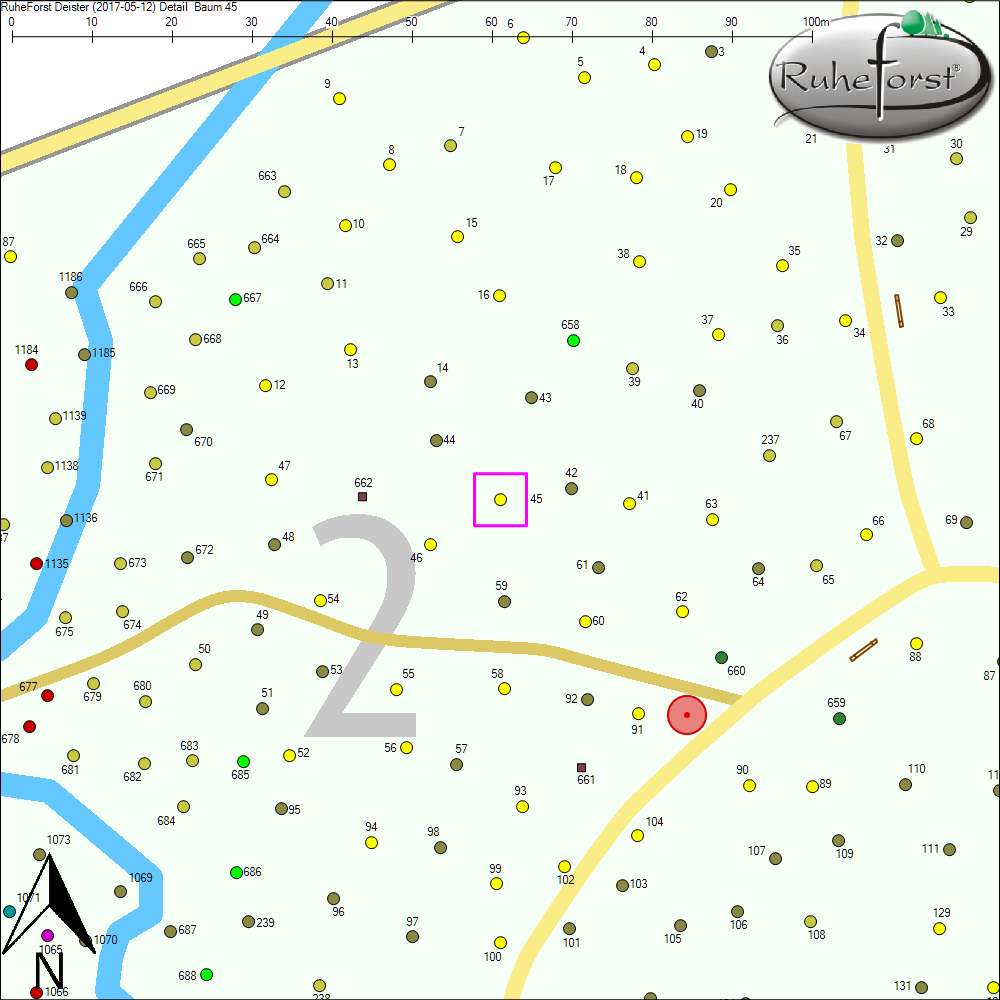 Detailkarte zu Baum 45