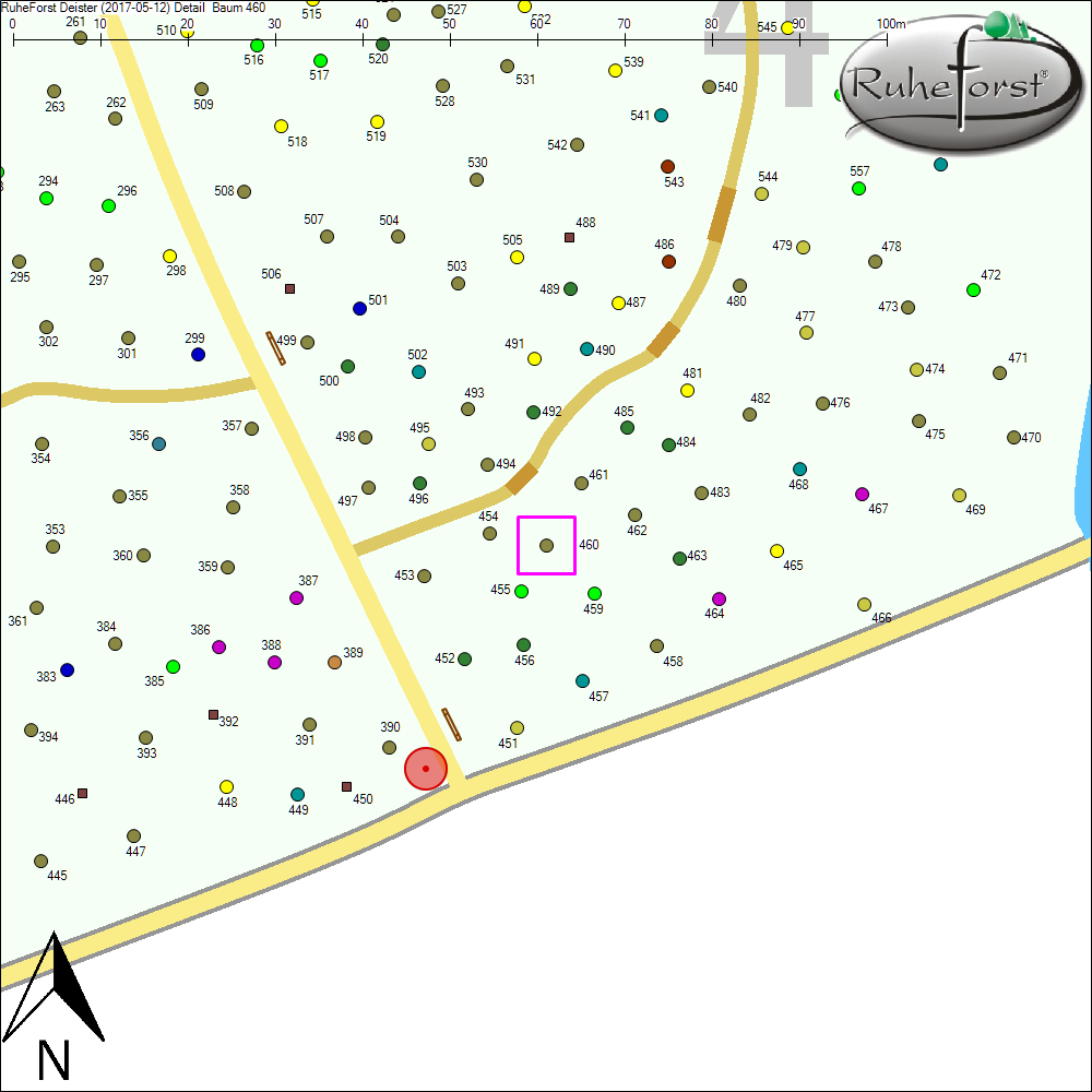 Detailkarte zu Baum 460