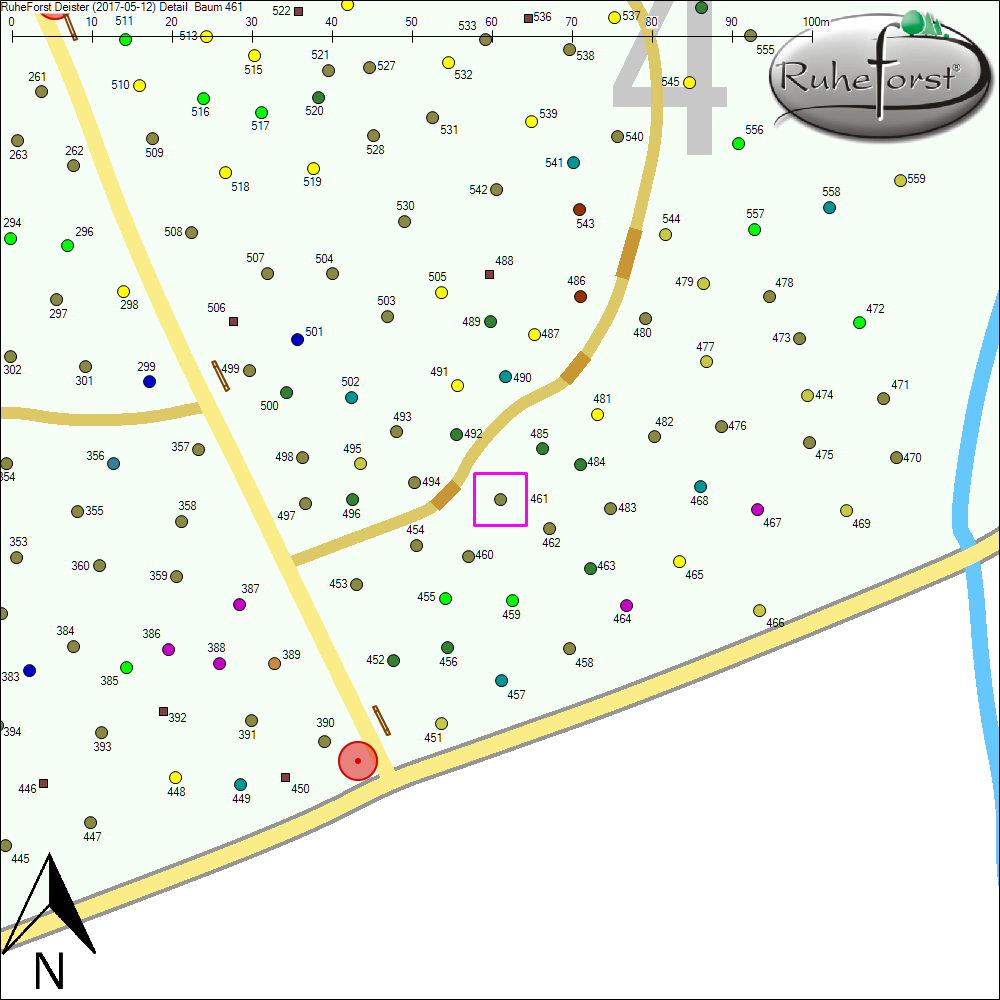 Detailkarte zu Baum 461