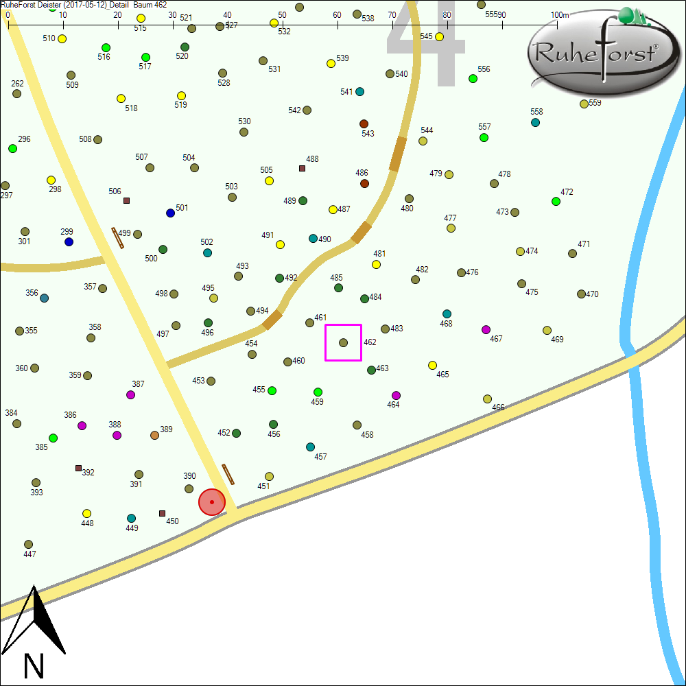 Detailkarte zu Baum 462