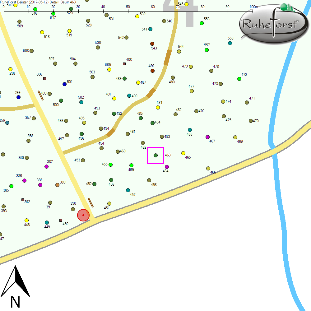 Detailkarte zu Baum 463