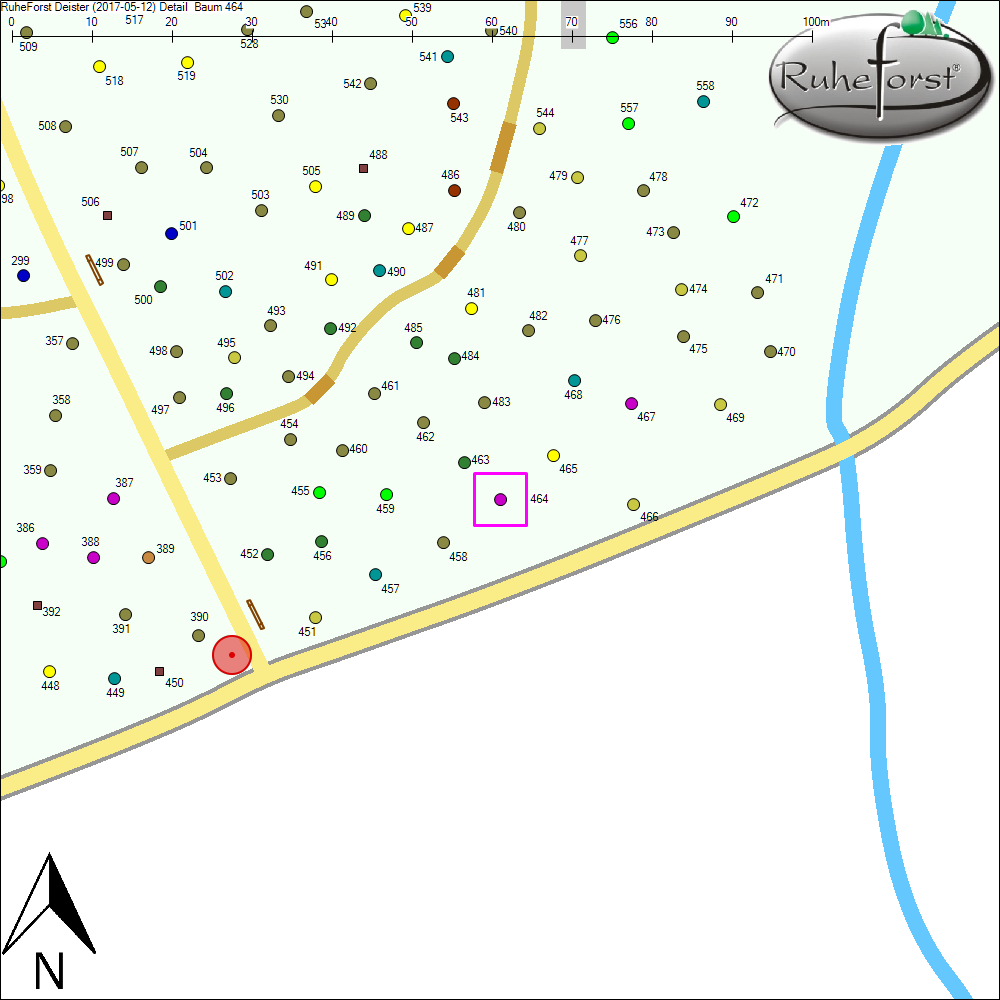 Detailkarte zu Baum 464
