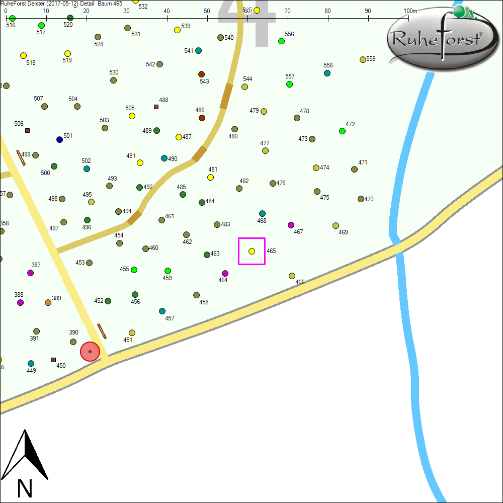 Detailkarte zu Baum 465