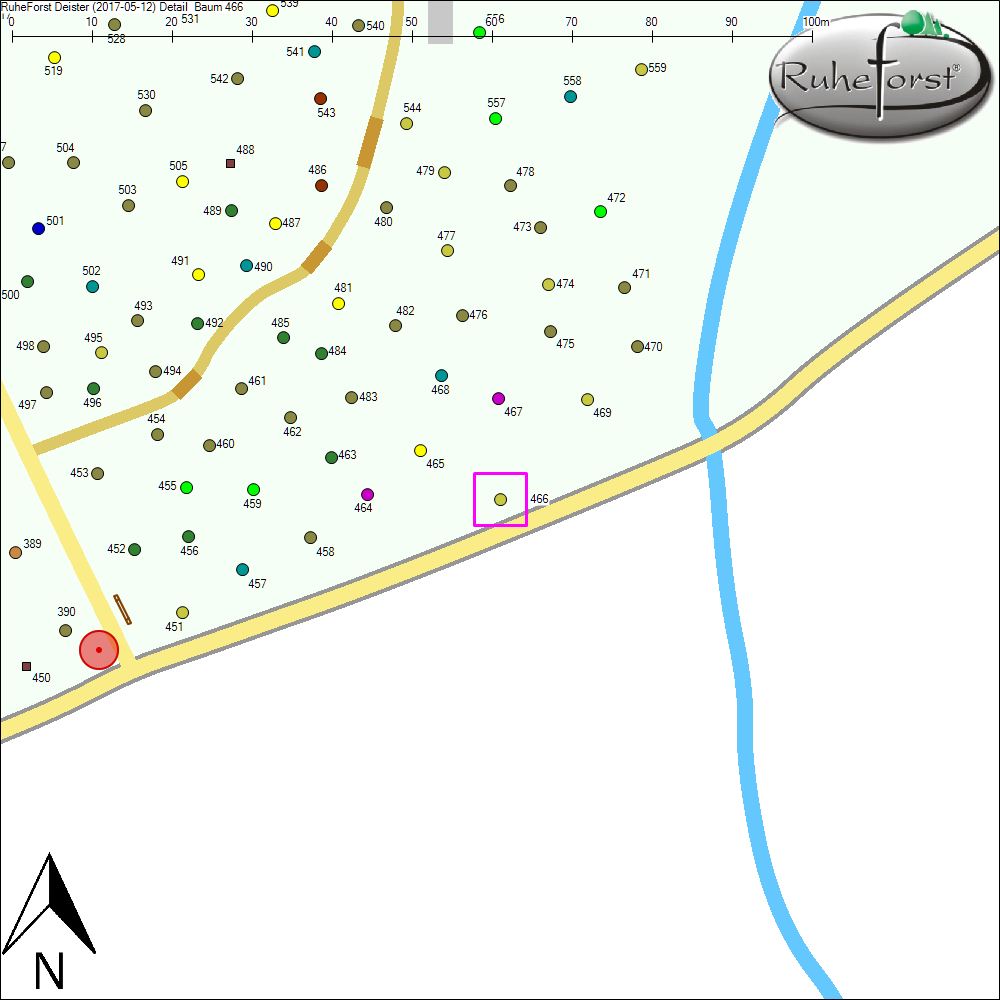 Detailkarte zu Baum 466