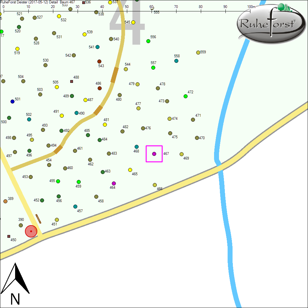 Detailkarte zu Baum 467