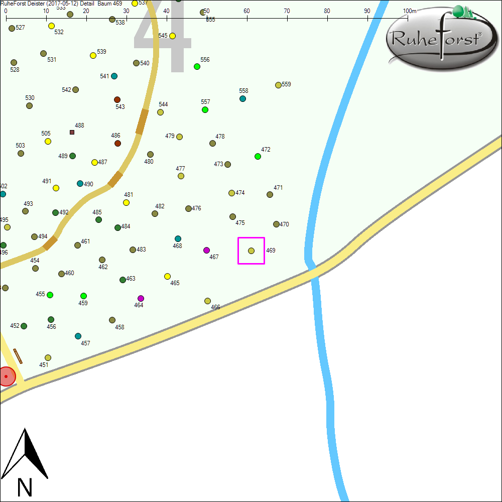 Detailkarte zu Baum 469