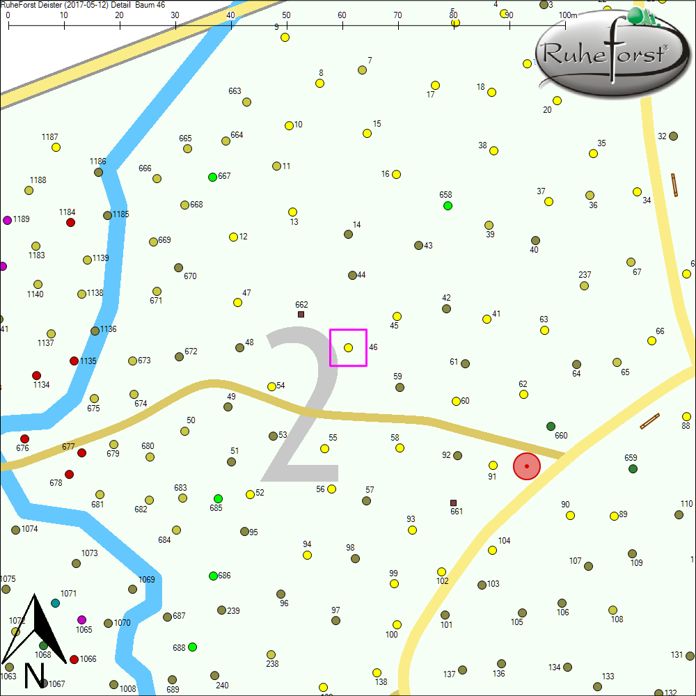 Detailkarte zu Baum 46