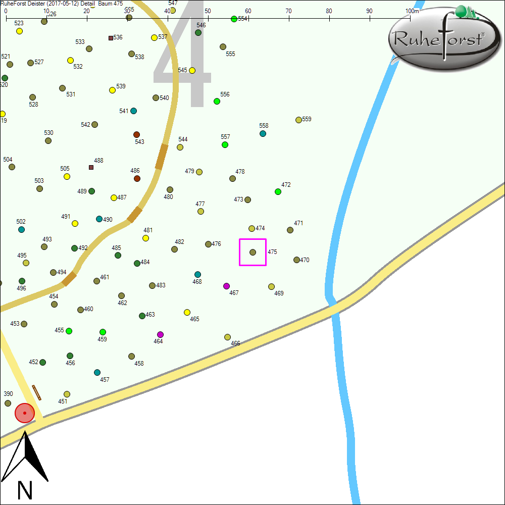 Detailkarte zu Baum 475
