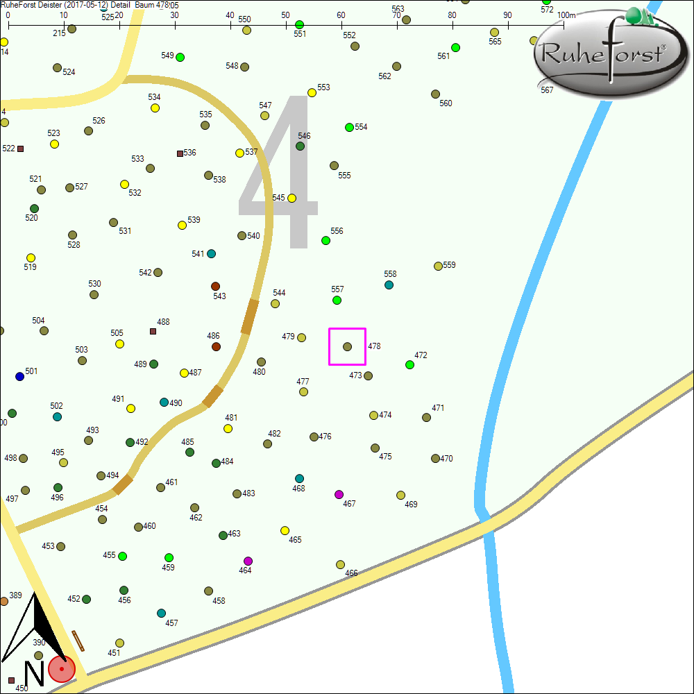 Detailkarte zu Baum 478
