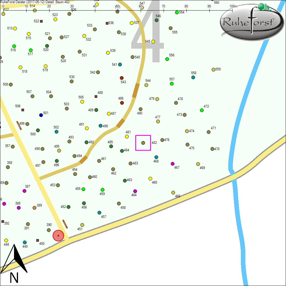 Detailkarte zu Baum 482