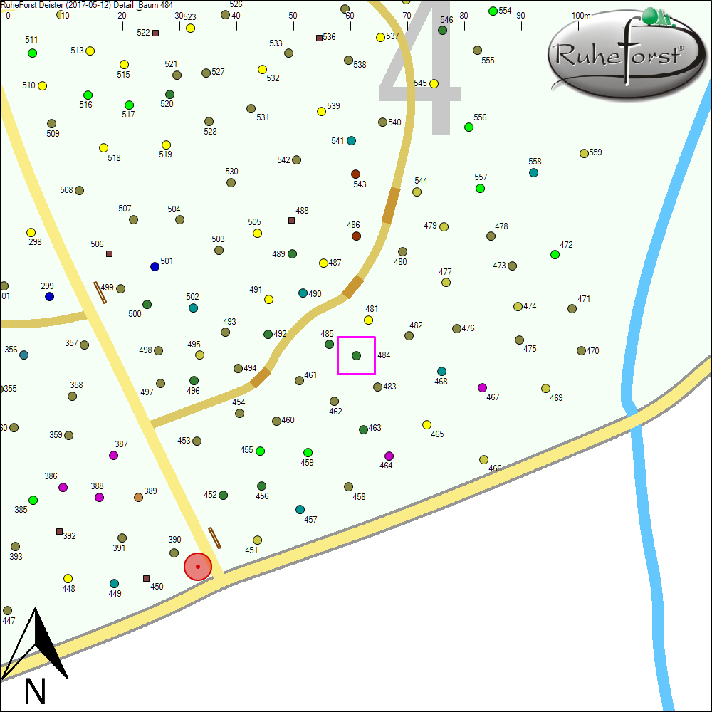 Detailkarte zu Baum 484