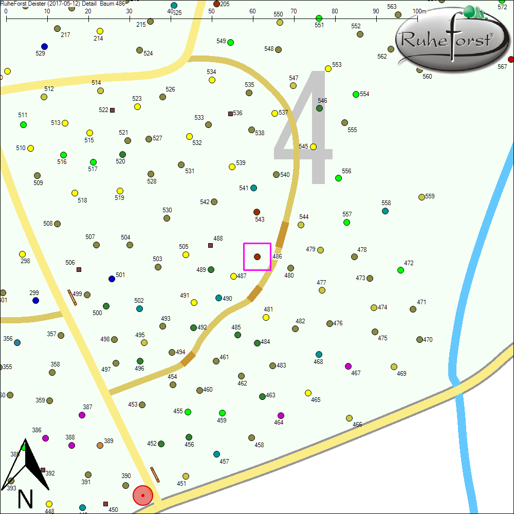 Detailkarte zu Baum 486