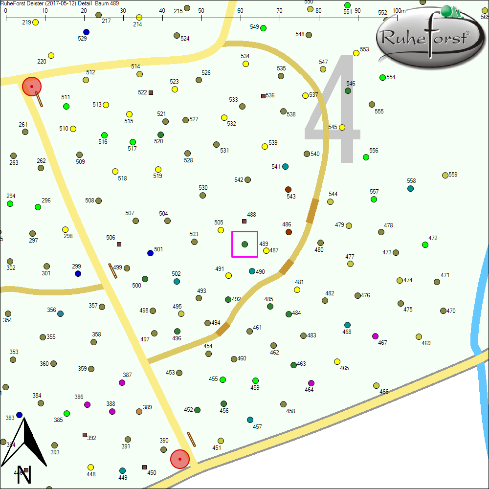 Detailkarte zu Baum 489