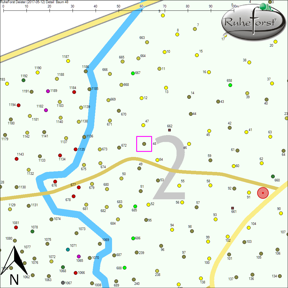 Detailkarte zu Baum 48