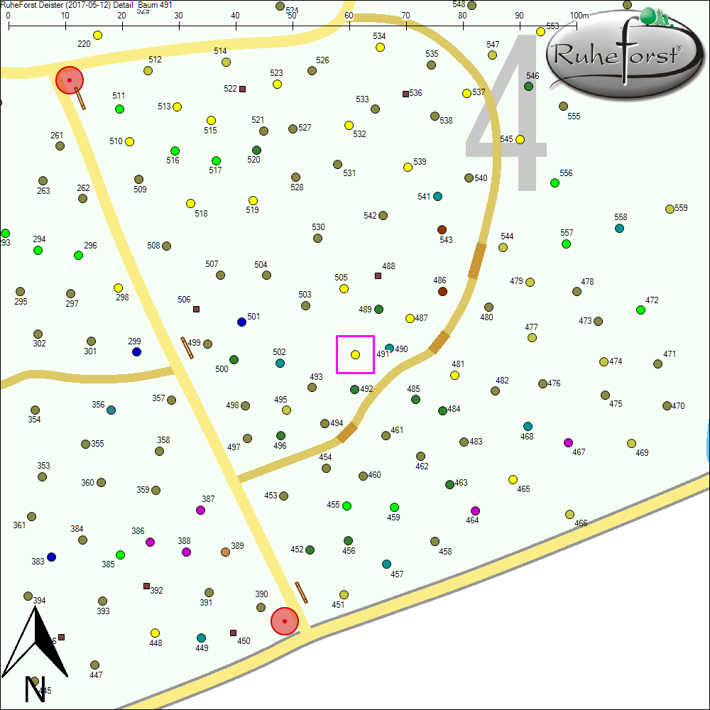 Detailkarte zu Baum 491