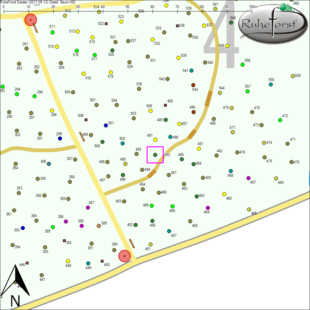 Detailkarte zu Baum 492