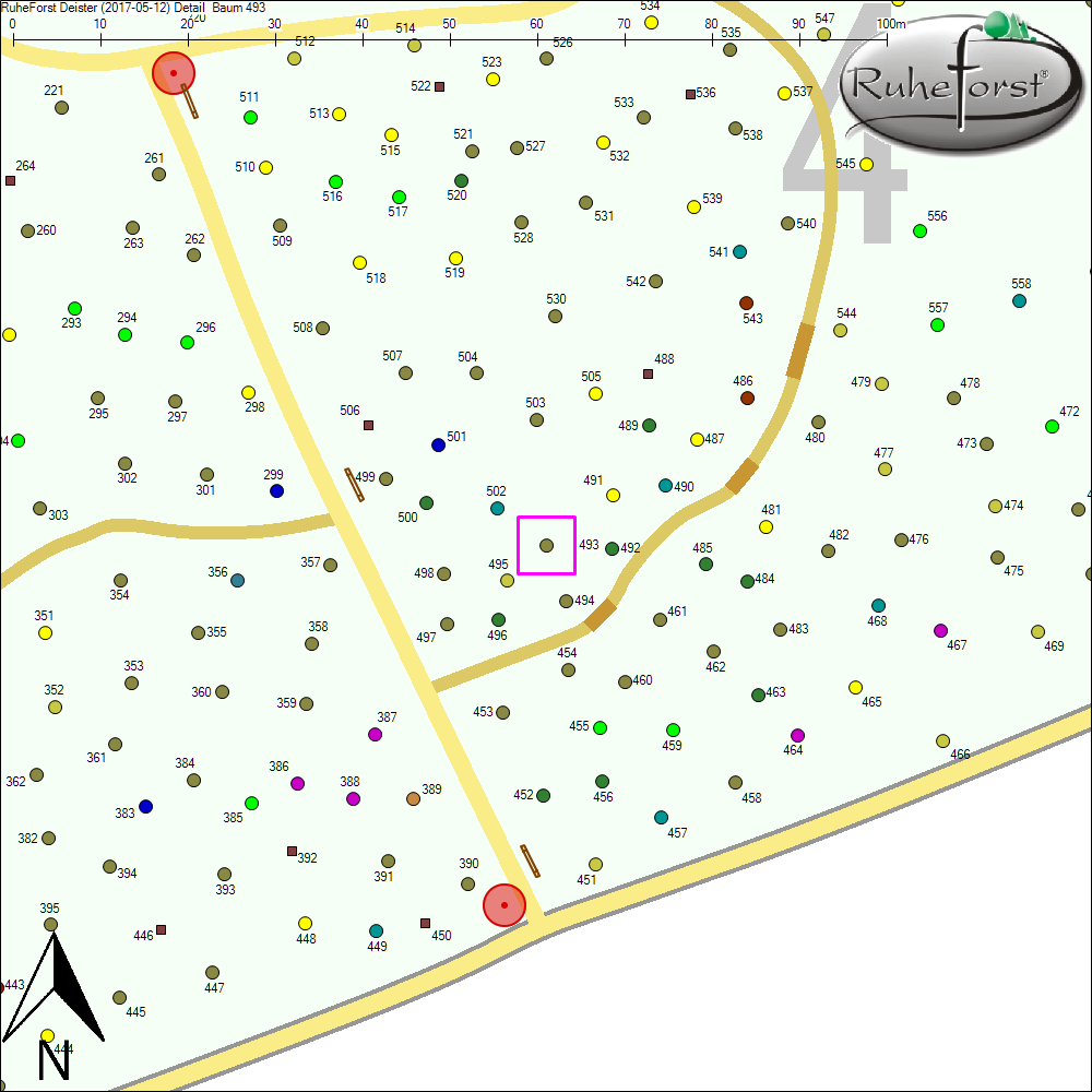 Detailkarte zu Baum 493
