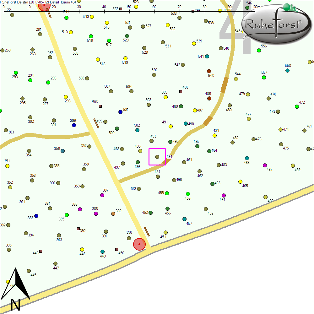 Detailkarte zu Baum 494