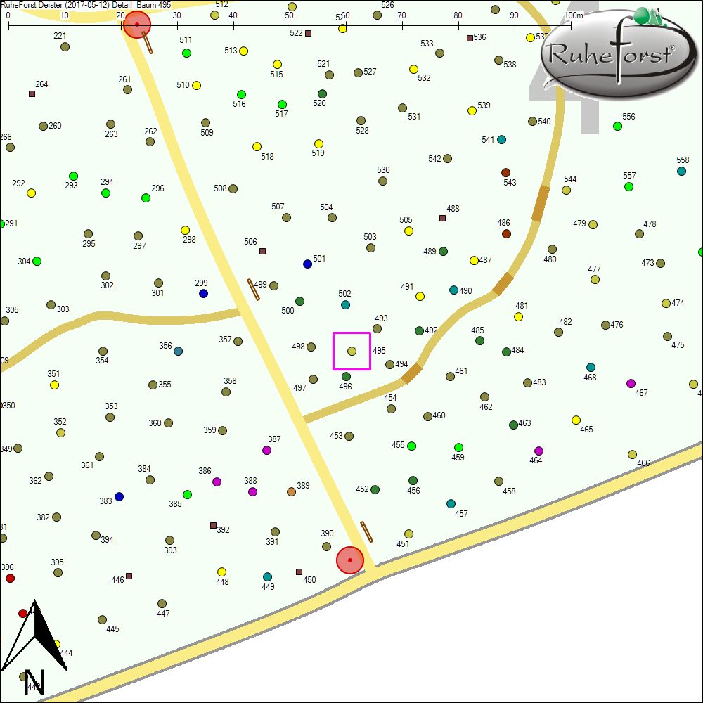 Detailkarte zu Baum 495