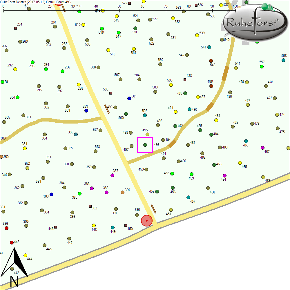 Detailkarte zu Baum 496