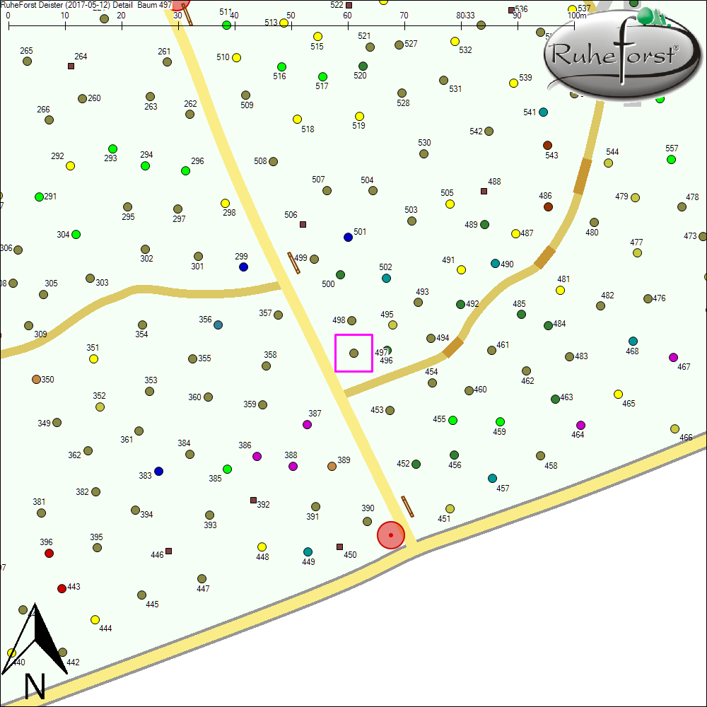 Detailkarte zu Baum 497