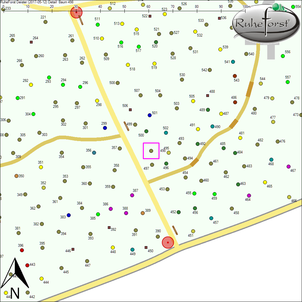 Detailkarte zu Baum 498