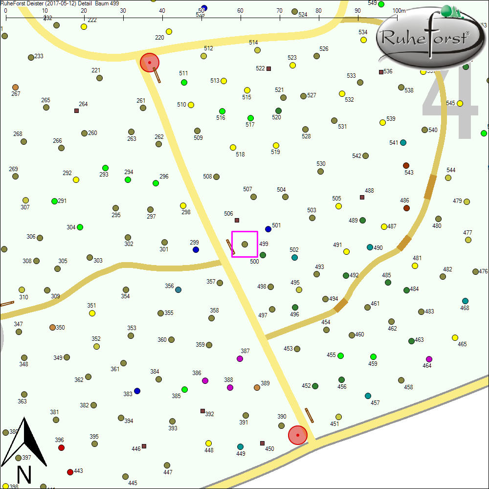 Detailkarte zu Baum 499